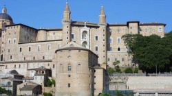 Urbino