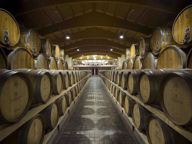 RID-RID-Carpineto--Barricaia-copertina