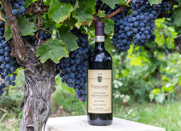 Vino-Nobile-di-Montepulciano-Riserva-2010-Carpineto-copertina