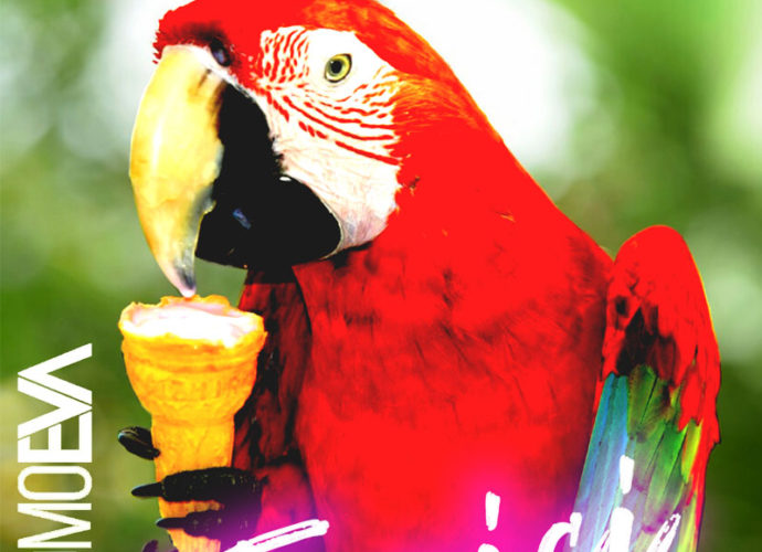 Copertina-Tropici-cop