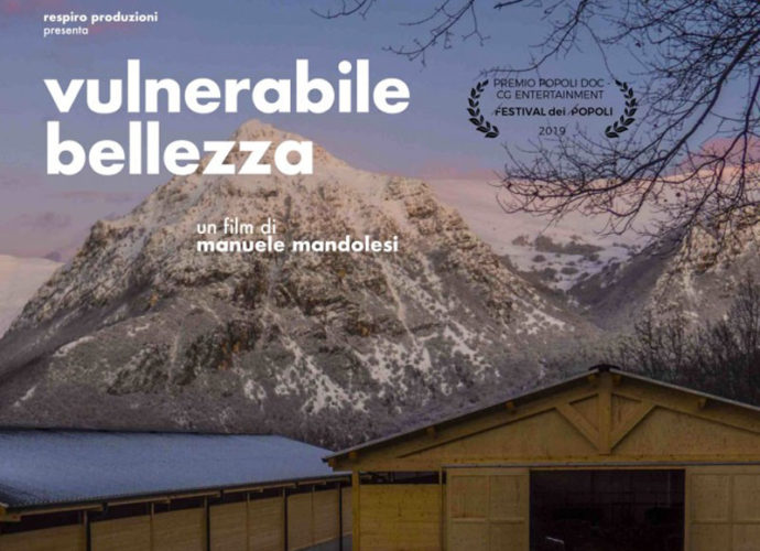 Vulnerabile-bellezza-copertina