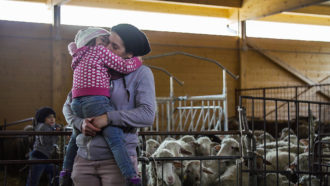 Vulnerabile Bellezza