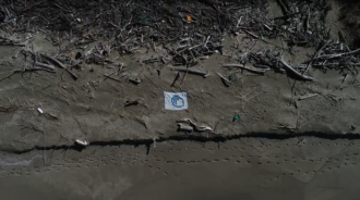 Il litorale di San Rossore, oggetto del monitoraggio