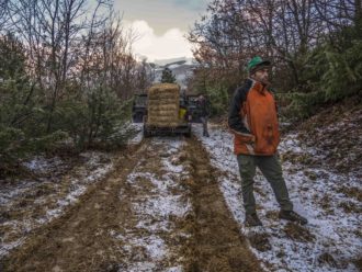 Stefano Riccioni e Michela Paris-2