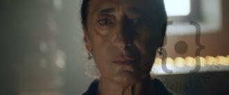 Ape Regina di Nicola Sorcinelli