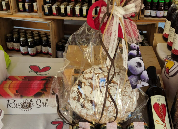 Panettone-mirtilli-essicati-e-centesimino-passito-cop