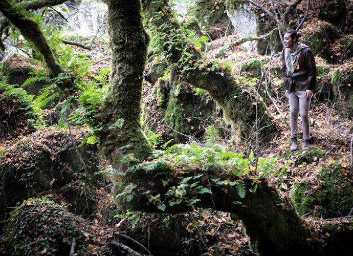 Il-Bosco-Incantato_Bosco-del-Sasseto-ph-Luca-Perazzolo-(1)-cop