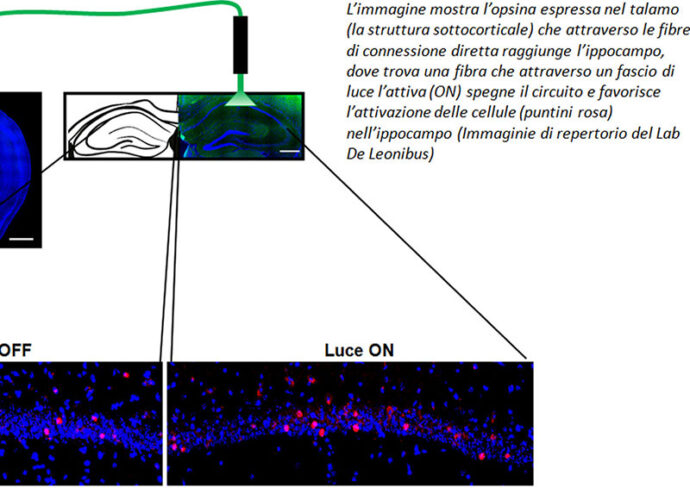 Immagine1_De-Leonibus-cop