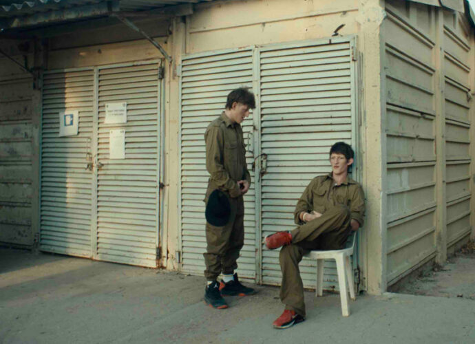 8-La-Timidezza-delle-Chiome-cop