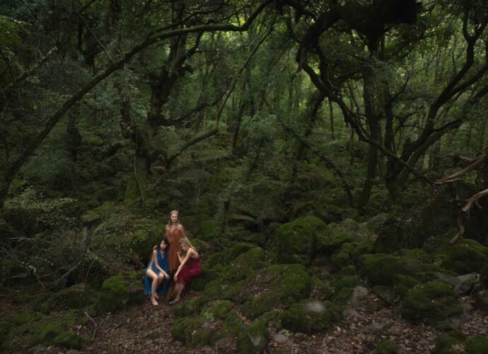 Copyright---Cricchi_IldegardadiBingen-cop