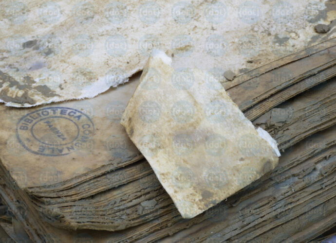 Allegato-senza-nome-cop