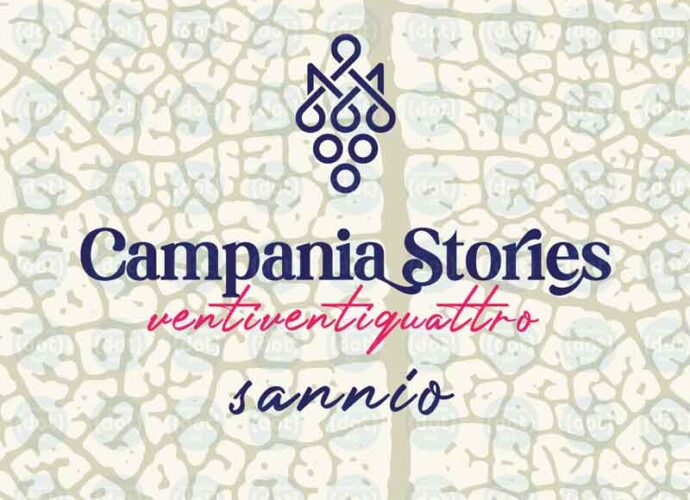 logo_campania_stories_2024-cop