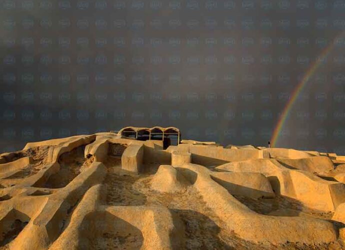 Hamed-Gholami__ph-cop