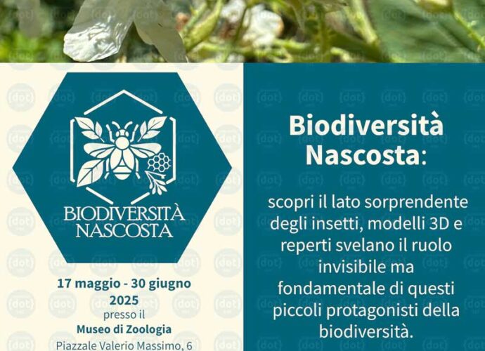 Locandina_Biodiversità-Nascosta-Maggio-Museale-cop