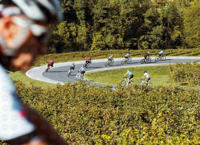 Prosecco-Cycling_in-discesa-tra-i-vigneti-cop