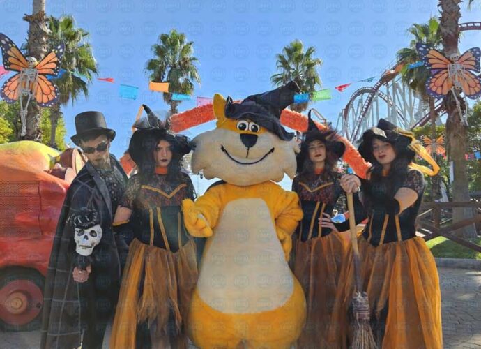 Gattobaleno-Halloween-cop