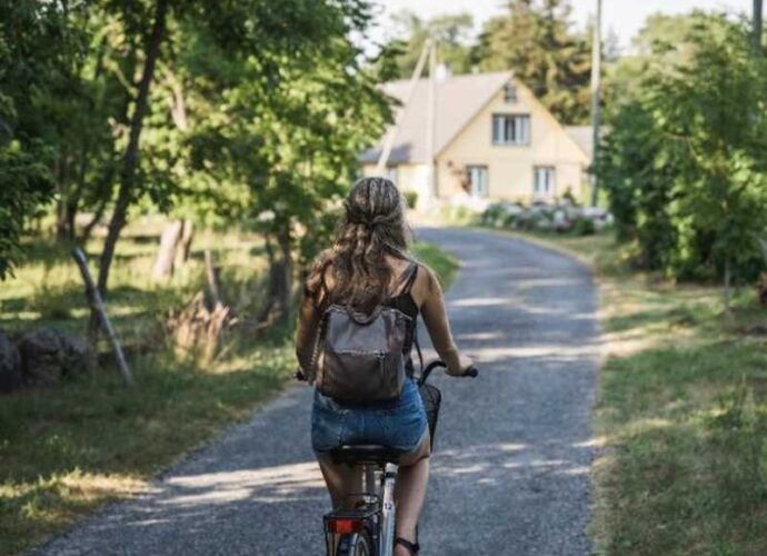 Estonia-comunicato-cop